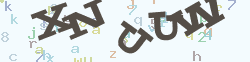 点击切换
